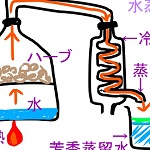 芳香蒸留水の作り方(水蒸気、ハイドロ)と仕組みをイラストで解説